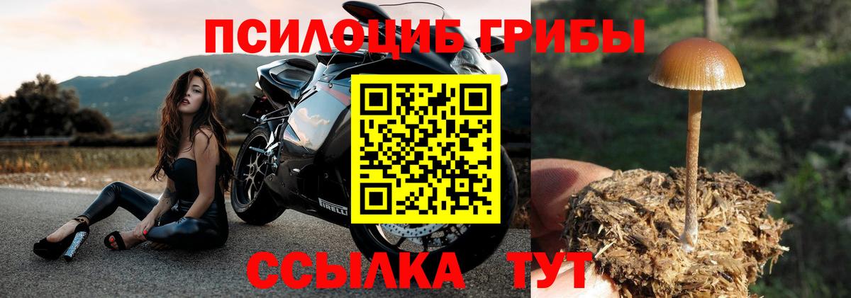 Галлюциногенные грибы Cubensis Киреевск