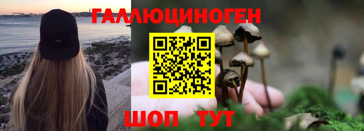 Галлюциногенные грибы Cubensis  Вход с VPN  Киреевск 